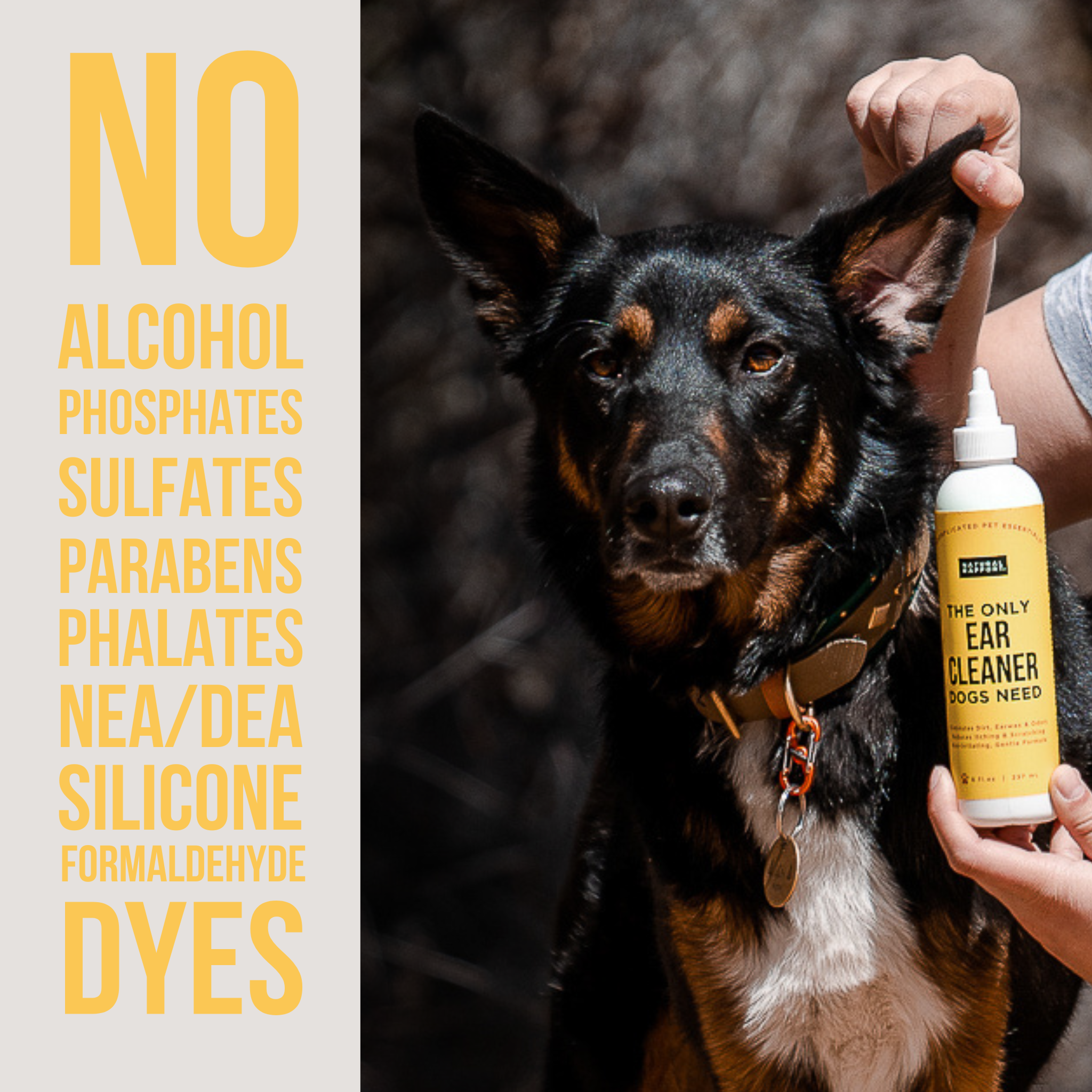 The Only Ear Cleaner Dogs Need: 8 ounce