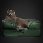 Faux Leather Orthopedic Pet Bed, Cooling Gel Foam, Sofa: Black / M [28*23*11]