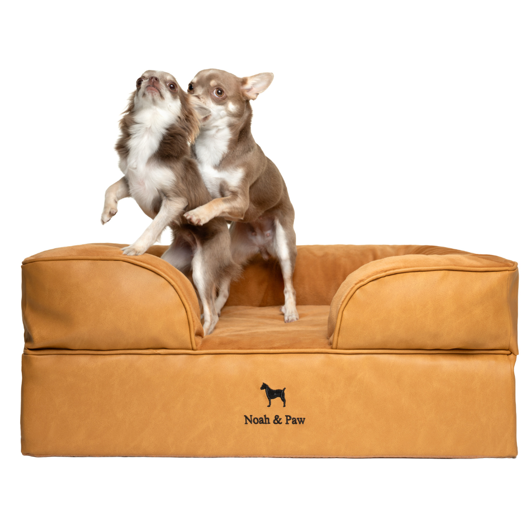 Noah & Paw Orthopedic Sofa Bed | Camel | Medium