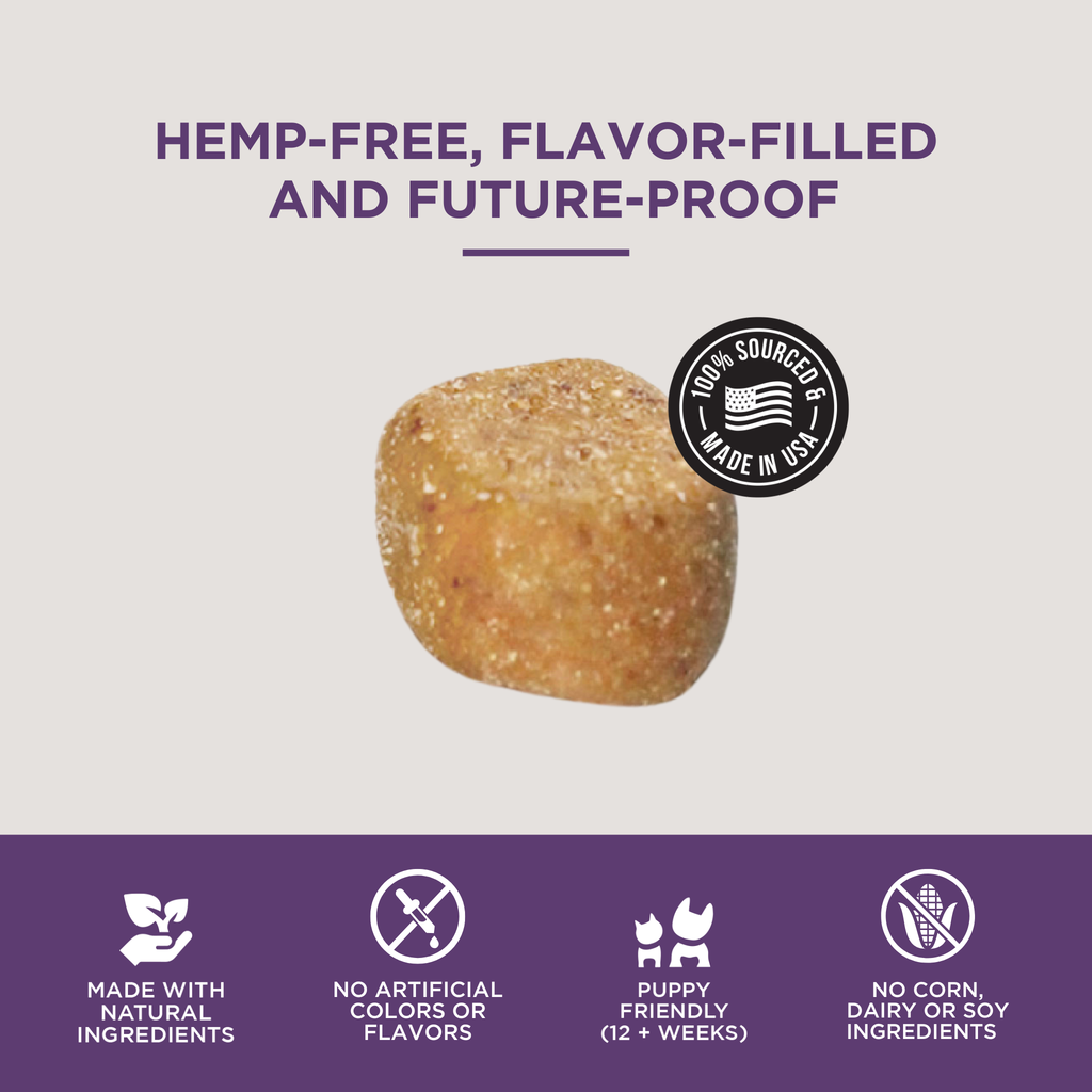 The Only Multivitamin Soft Chews Dogs Need: 120 count jar