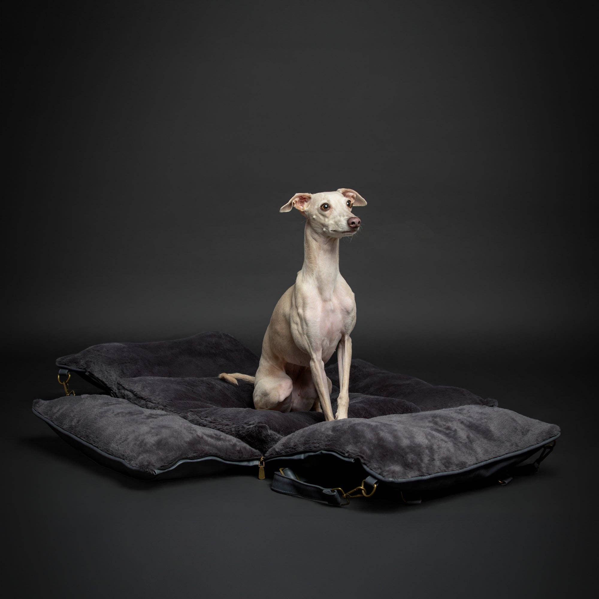 Dog Car Seat Carrier Orthopedic Foam, Black, Vegan Leather