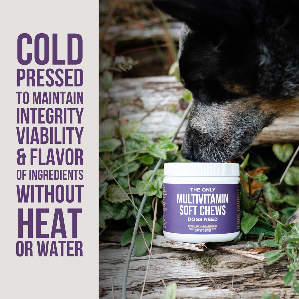 The Only Multivitamin Soft Chews Dogs Need: 120 count jar