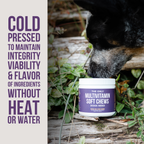 The Only Multivitamin Soft Chews Dogs Need: 120 count jar