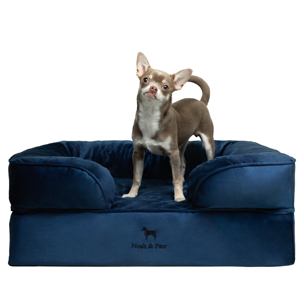 Noah & Paw Velvet Orthopedic Sofa Bed | Navy Blue | Medium