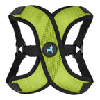 Blue Comfort X Step In Lite Harness - Extra Small
