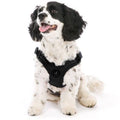 Escape Free Sport Harness | Black | Large