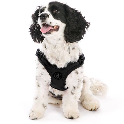 Escape Free Sport Harness | Black | Medium
