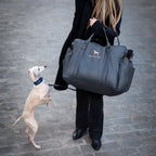 Dog Car Seat Carrier Orthopedic Foam, Black, Vegan Leather