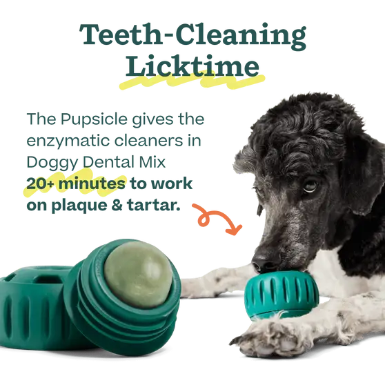 Pupsicle Treat Mix | Doggy Dental