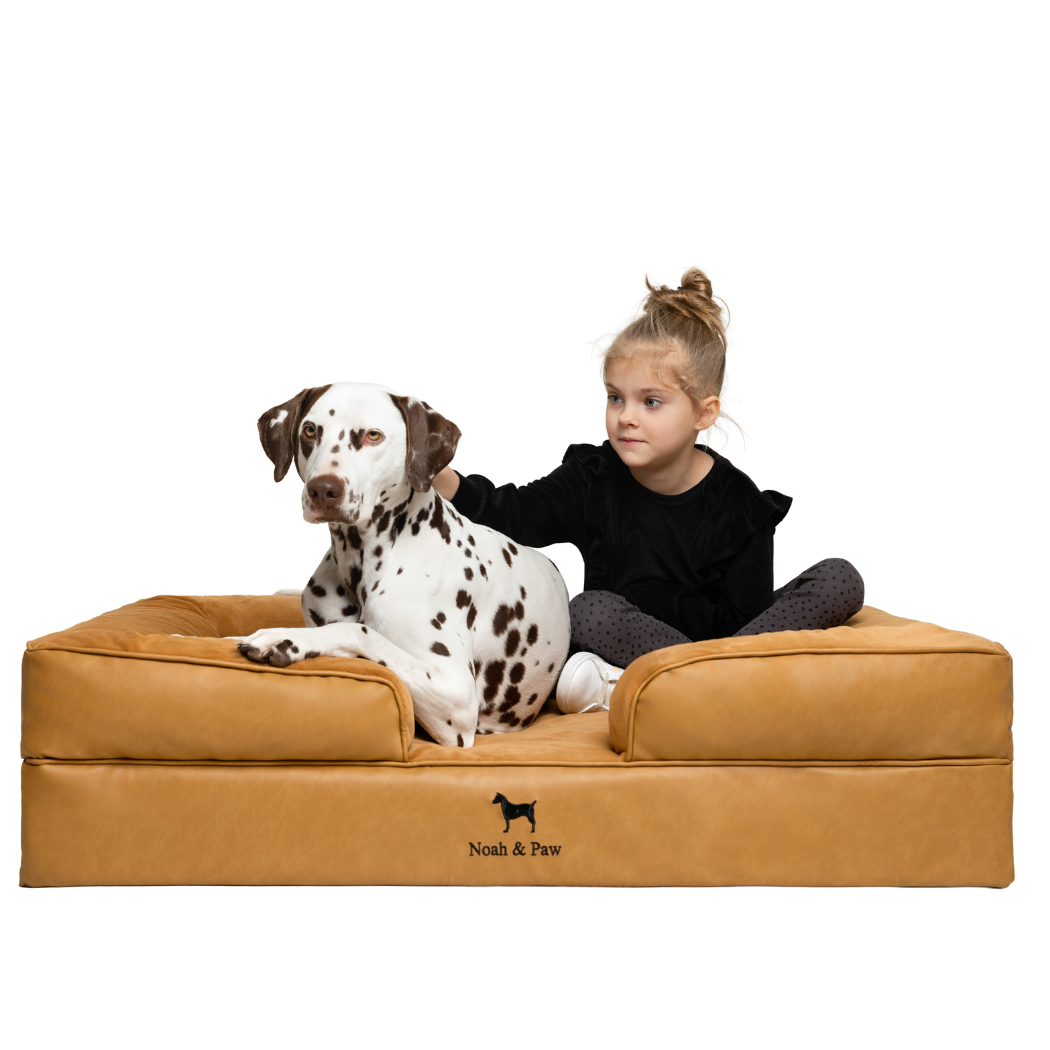 Noah & Paw Orthopedic Sofa Bed | Camel | Medium