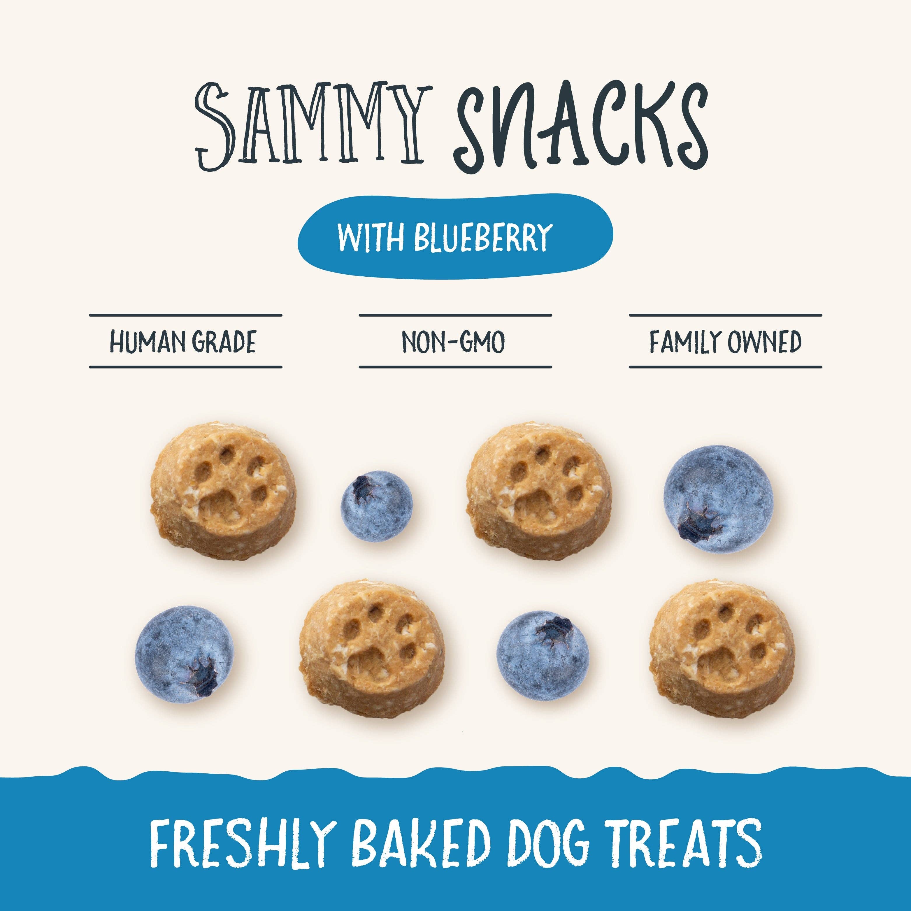 Sammy Snacks With Blueberries: 8oz