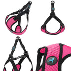 Blue Comfort X Step In Lite Harness - Extra Small
