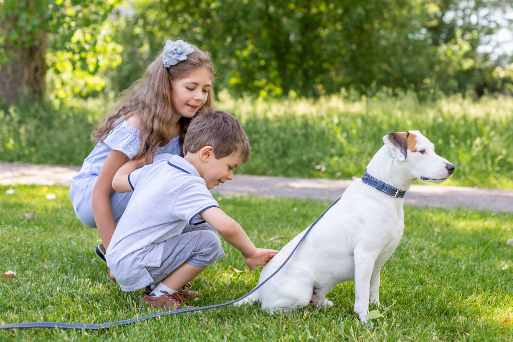Pro Leather Dog Leash | Tan | Small