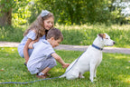 Pro Leather Dog Leash | Tan | Small
