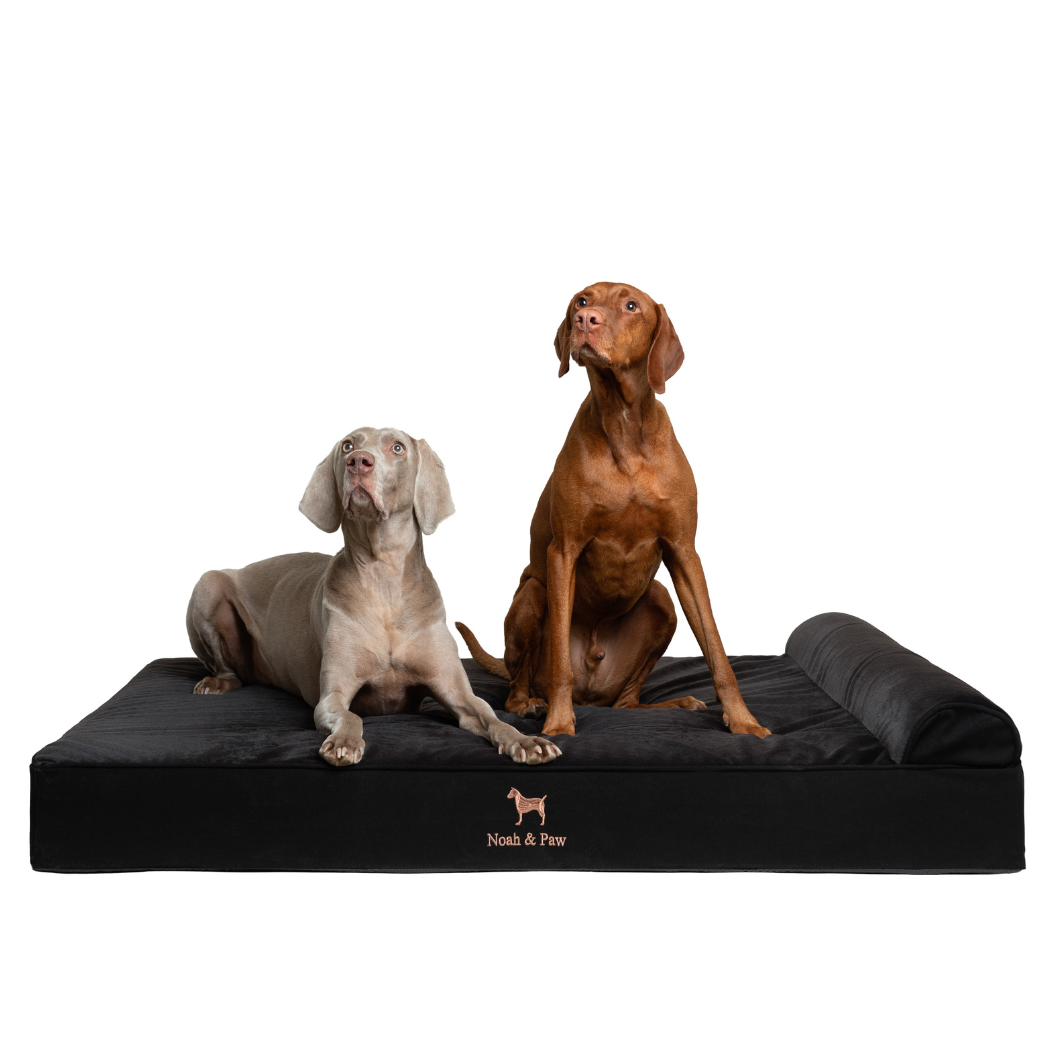 Noah & Paw Classic Orthopedic Bed | Black Denim | Medium