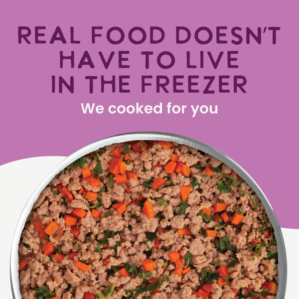 Gently Cooked Duck & Kale Recipe: 3oz pouch