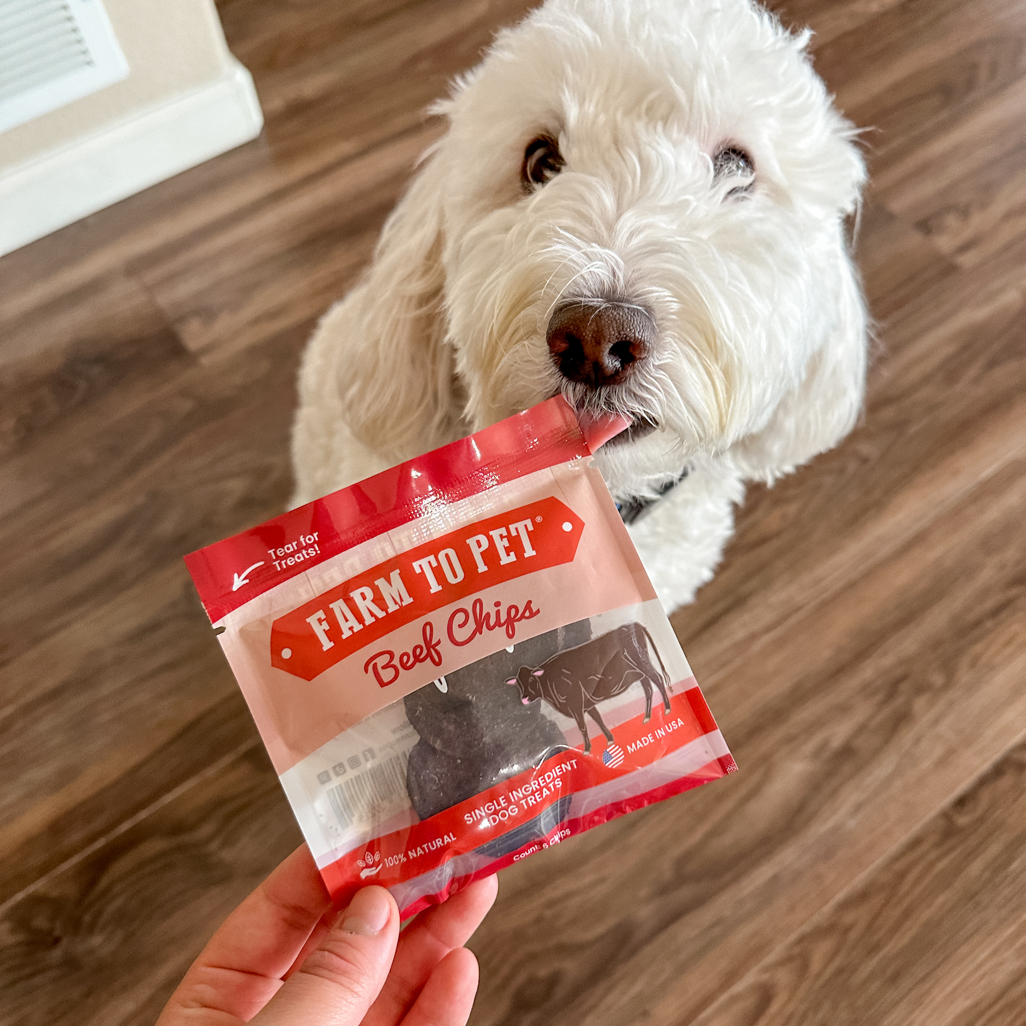 Beef Chips Healthy Dog Snack Pack Bundle (24 pack): Pack of 24
