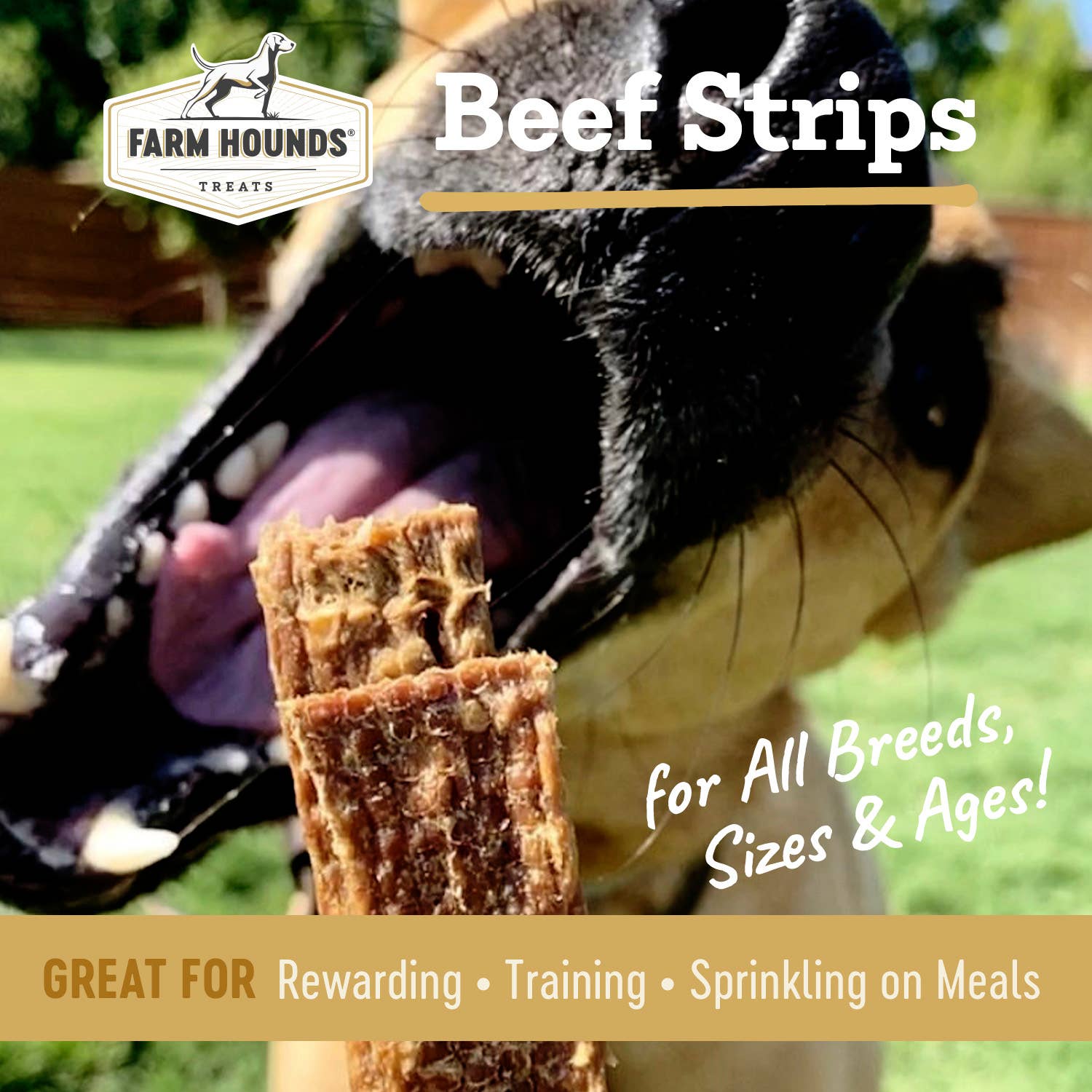 Beef Strips - All-Natural Dog Treats - 4.5 oz: 4.5oz