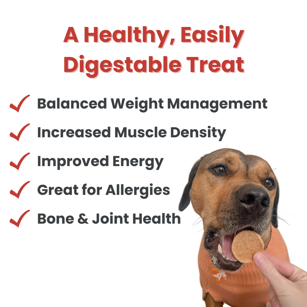 Bulk Turkey Chips for Dogs (2 lbs)