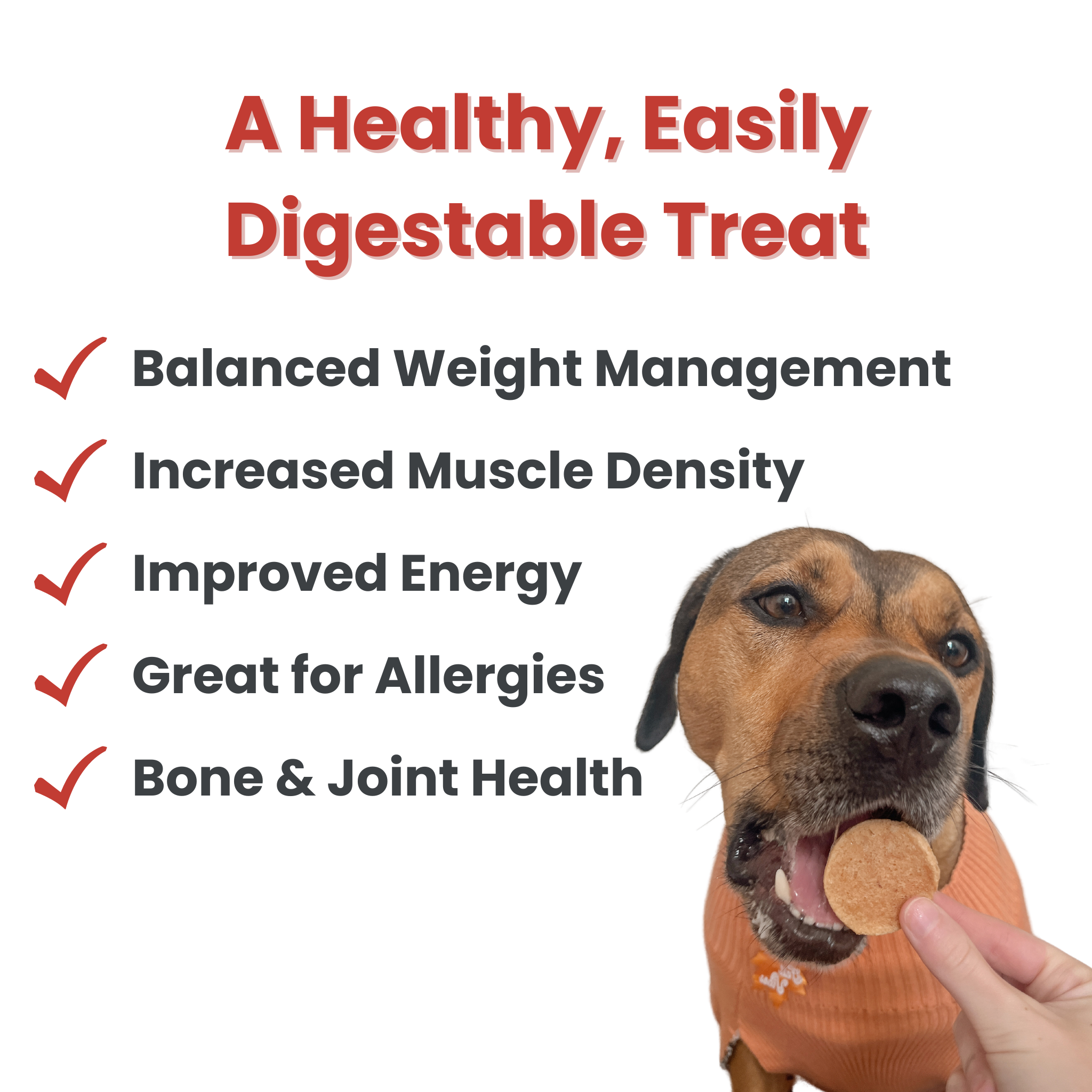 Bulk Turkey Chips for Dogs (2 lbs)