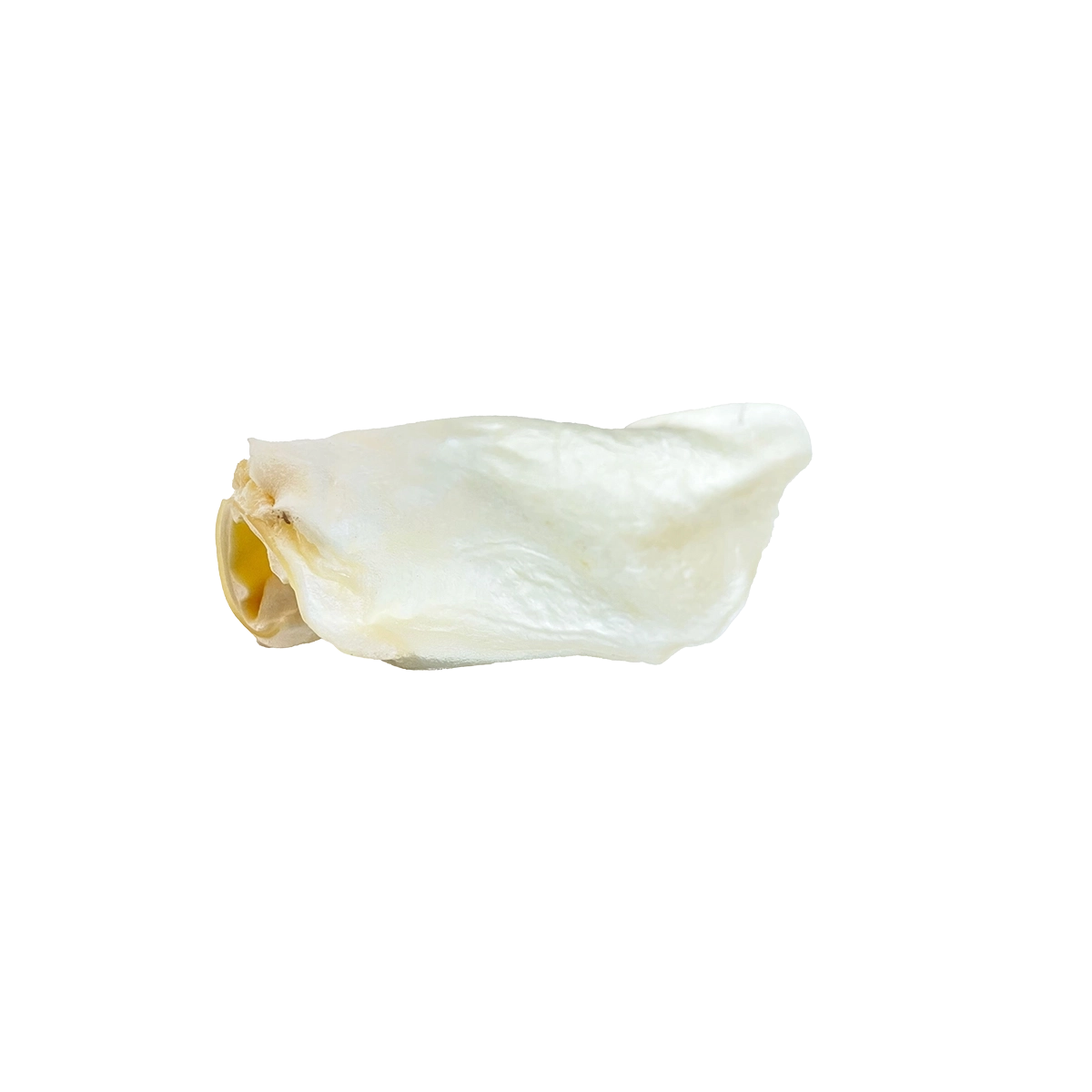 Cow Ears (Large) 35cs