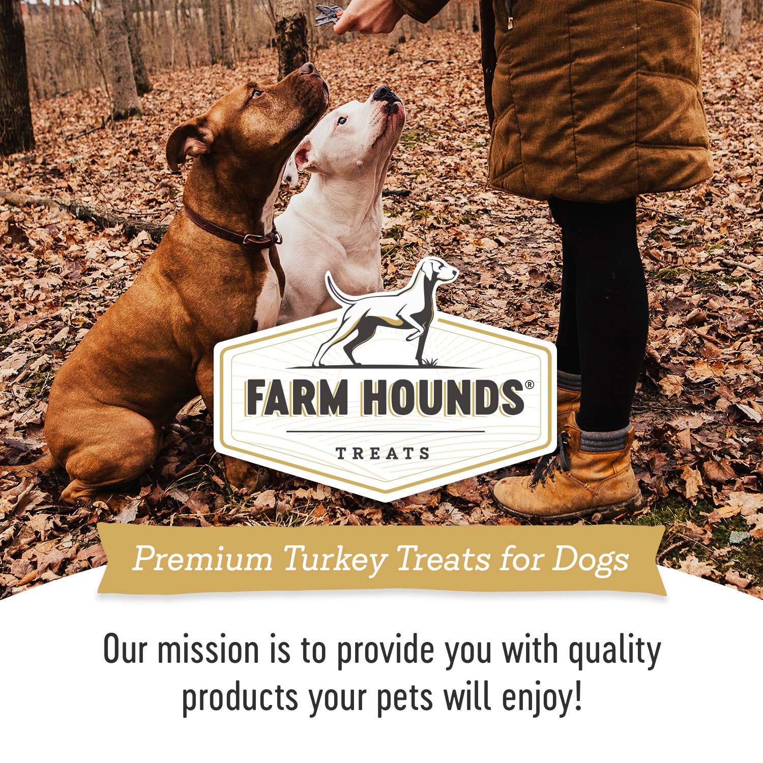 Turkey Neck -  Skinless Bulk Chew - All-Natural Dog Treats