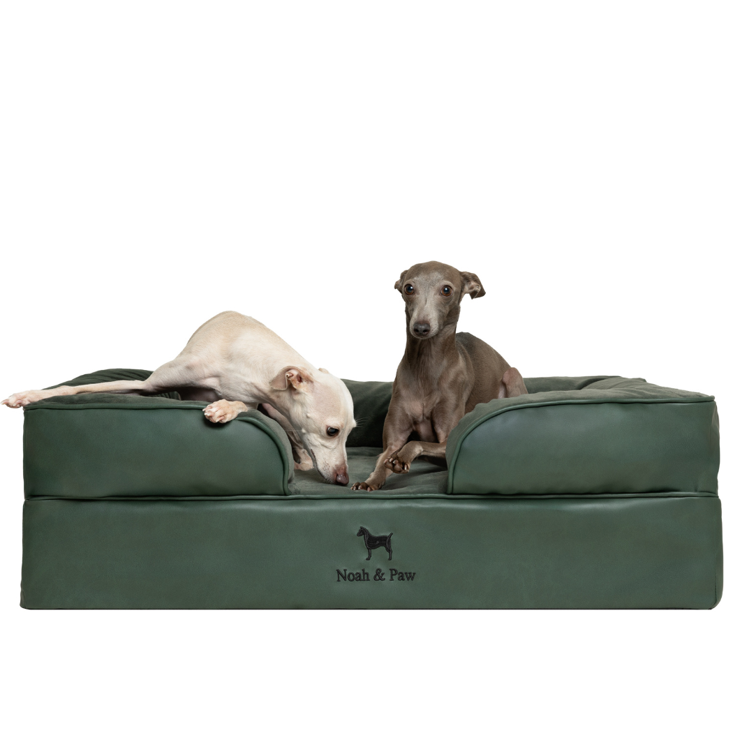 Noah & Paw Orthopedic Sofa Bed | Dark Green | Medium