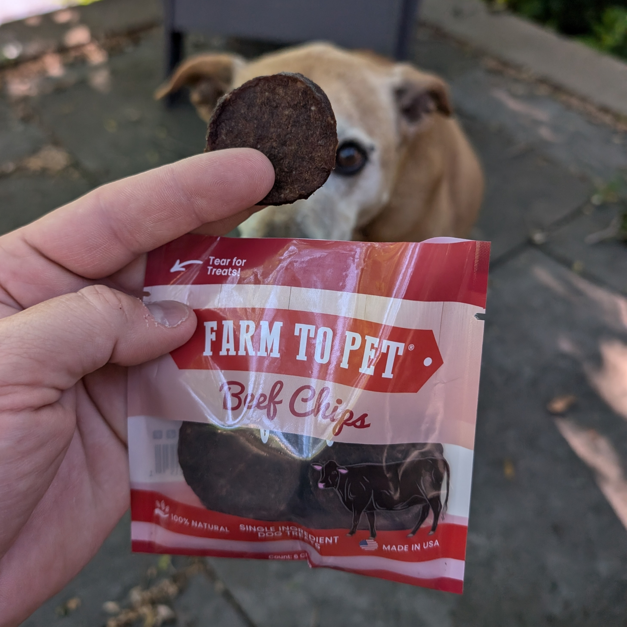 Beef Chips Healthy Dog Snack Pack Bundle (24 pack): Pack of 24