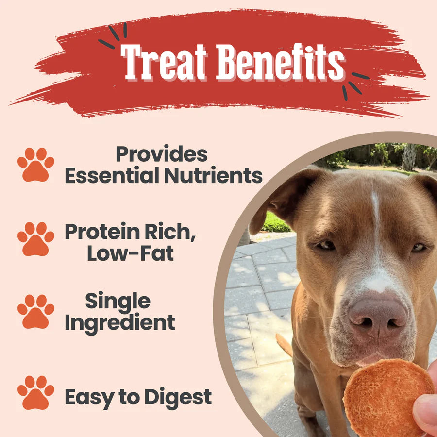 Farm to Pet Turkey Chips | 10 Pack