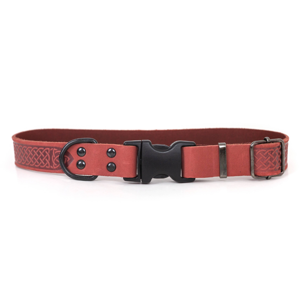 Celtic Style Leather Dog Collar | Coral | XL