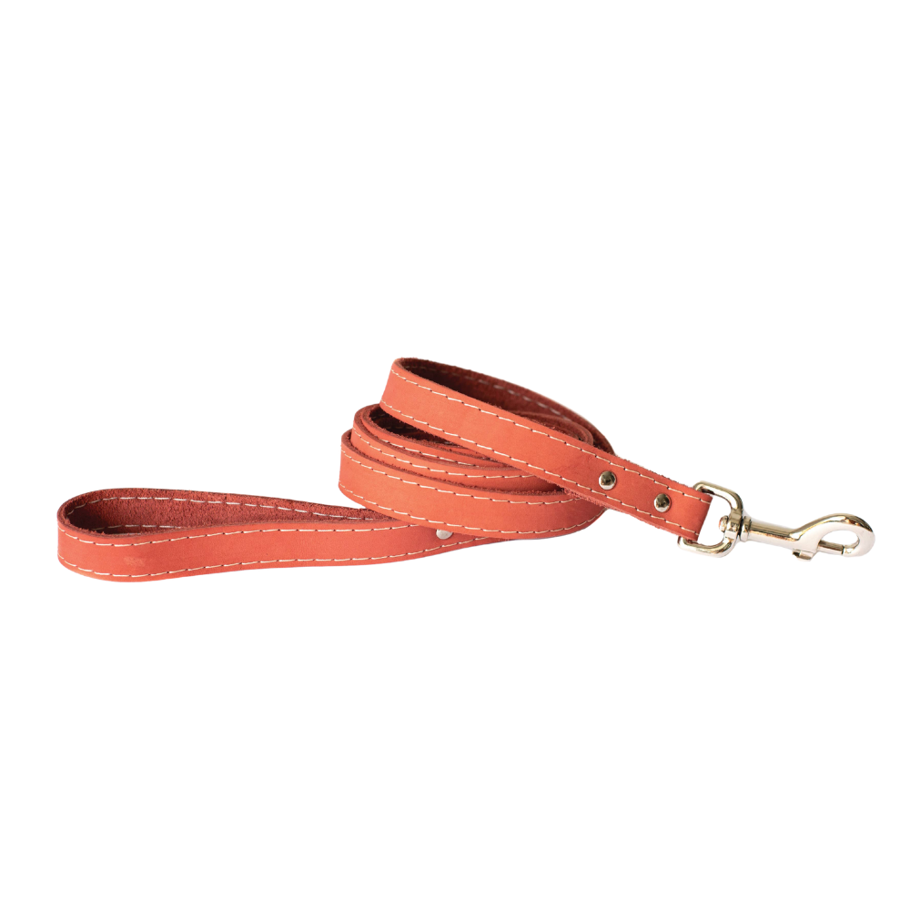 Pro Leather Dog Leash | Coral | Large