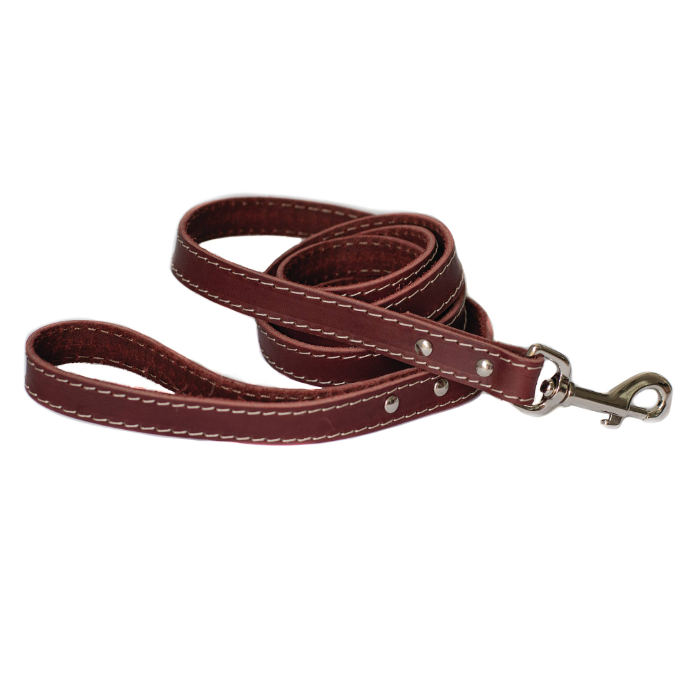 Pro Leather Dog Leash | Chocolate | Medium