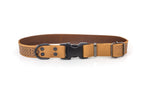 Celtic Style Leather Dog Collar | Coral | XL