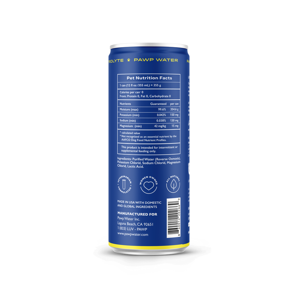 ELECTROLYTE: 6 Pack