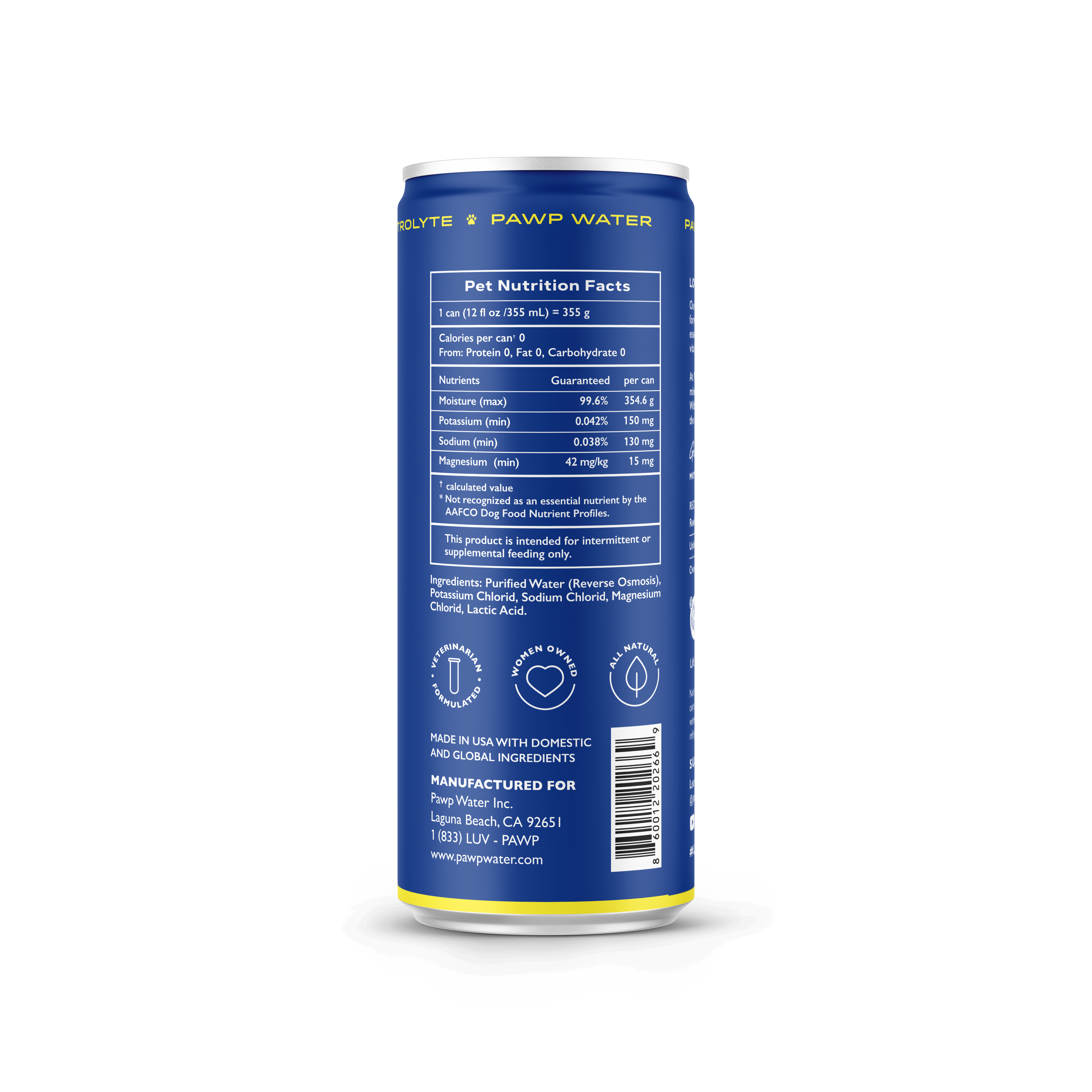 ELECTROLYTE: 6 Pack