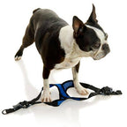 Comfort X Step-In Lite Harness | Pink | Large
