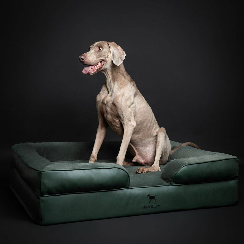 Faux Leather Orthopedic Pet Bed, Cooling Gel Foam, Sofa: Black / M [28*23*11]