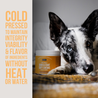 The Only Skin & Coat Soft Chews Dogs Need: 120 count jar