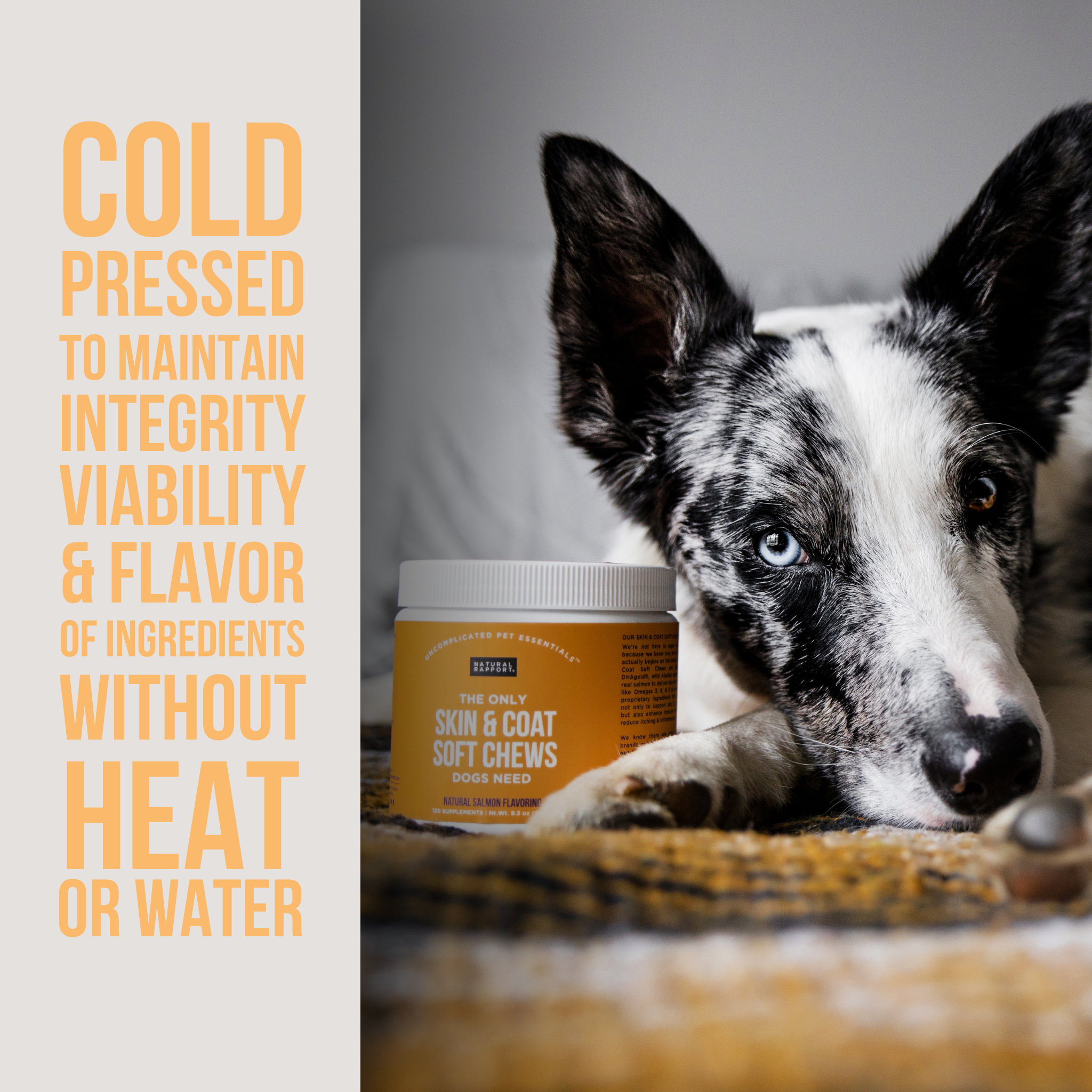 The Only Skin & Coat Soft Chews Dogs Need: 120 count jar