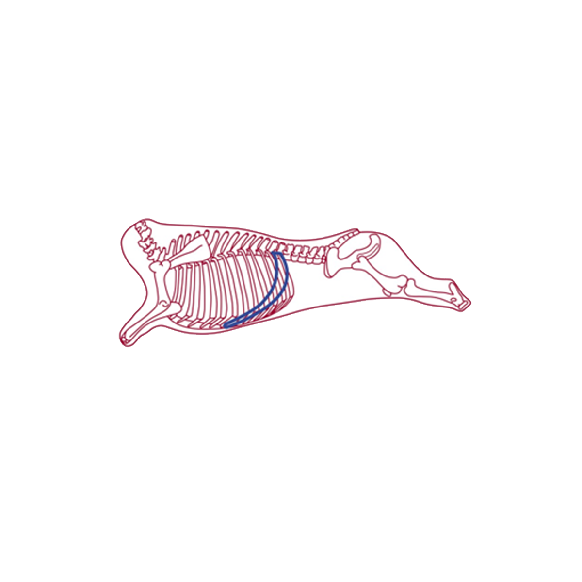 Skirt Steak Bar 6" 20cs