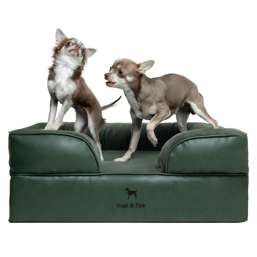 Noah & Paw Orthopedic Sofa Bed | Dark Green | Medium