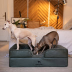 Faux Leather Orthopedic Pet Bed, Cooling Gel Foam, Sofa: Black / M [28*23*11]