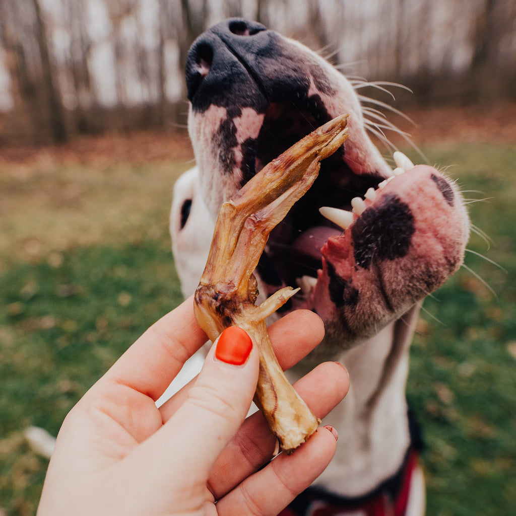 Duck Foot - Bulk Chew - All-Natural Dog Treats