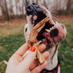 Duck Foot - Bulk Chew - All-Natural Dog Treats