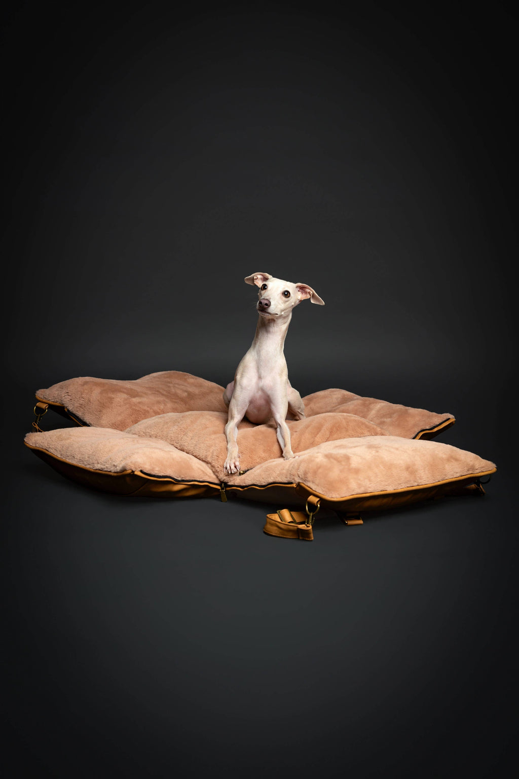 Noah & Paw Orthopedic Car Seat Carrier | Camel Vegan Leather