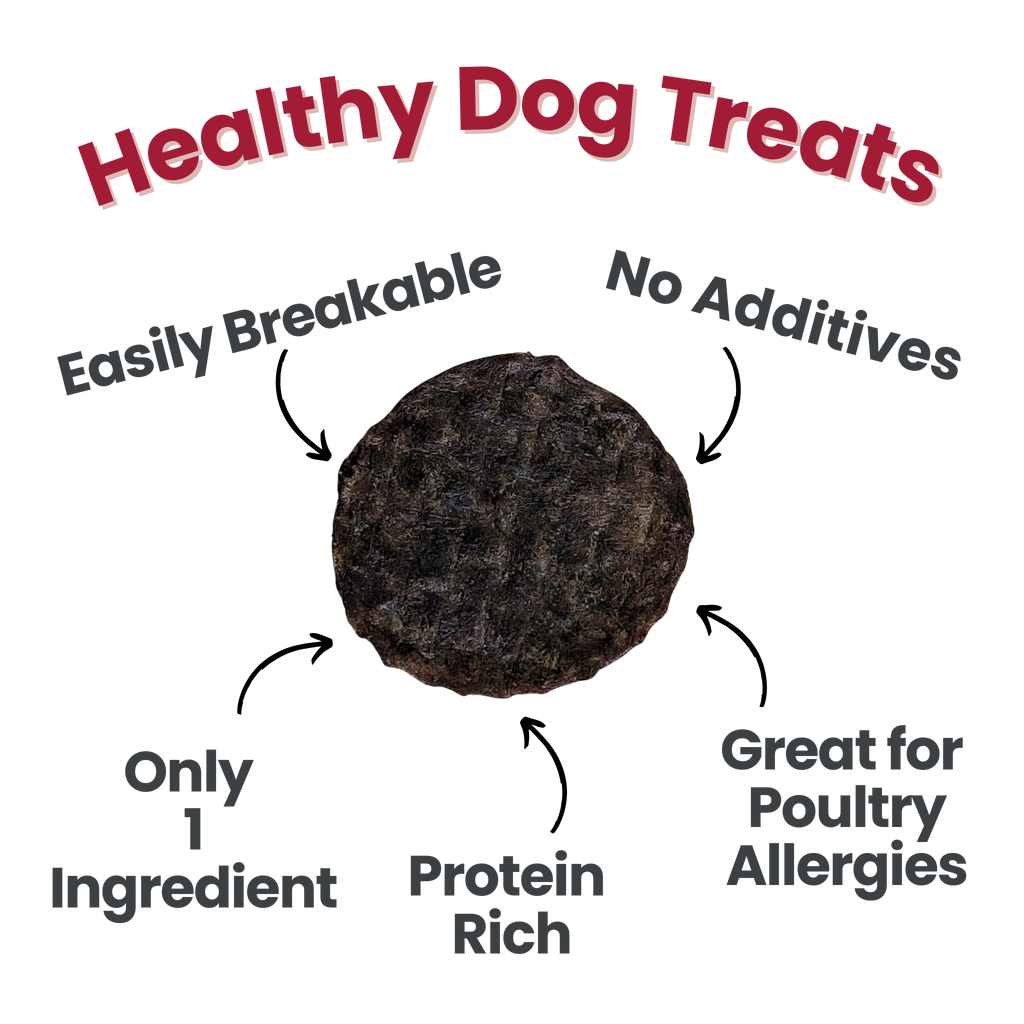 Beef Chips Healthy Dog Snack Pack Bundle (24 pack): Pack of 24