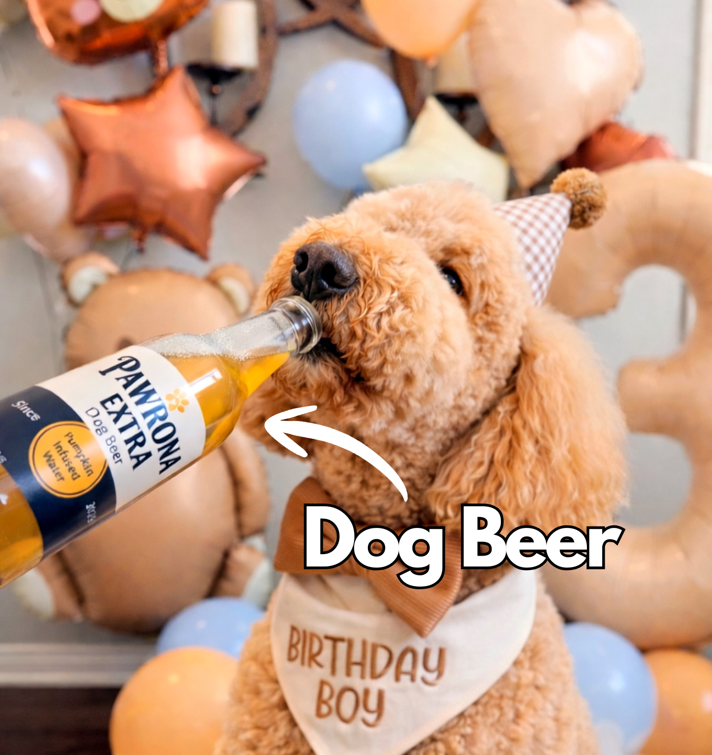 Paw-Rona Dog Beer | Pumpkin | 12 oz