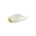 Cow Ears (Large) 35cs
