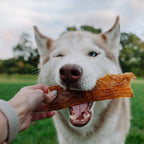 Beef Back Strap - Bulk Chew - All-Natural Dog Treats: Large