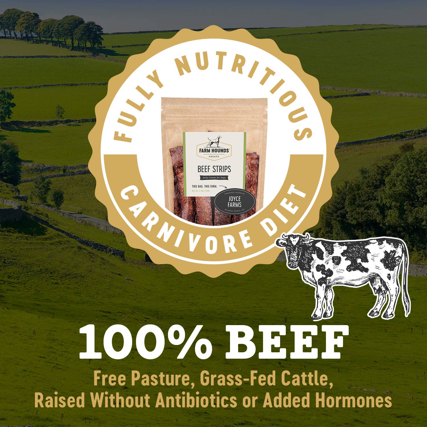 Beef Strips - All-Natural Dog Treats - 4.5 oz: 4.5oz